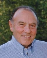 Contributions to the tribute of Dominic Arminio