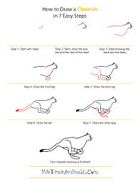 How To Draw A Cheetah Cheetah Drawing Draw Drawings