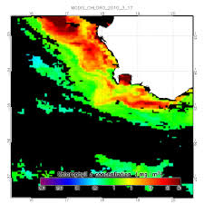 Chlorophyll Charts To Catch More Fish Buoyweather Com