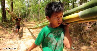 — picture by choo choy may follow us on instagram and subscribe to our telegram channel for the latest updates. Is Child Labour Illegal In Malaysia You Might Be Asklegal My