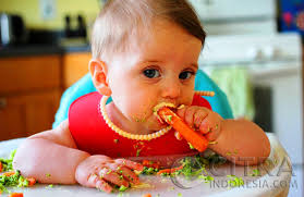 Mengenal Baby Led Weaning Saat Belajar Makan Sendiri Citra Indonesia