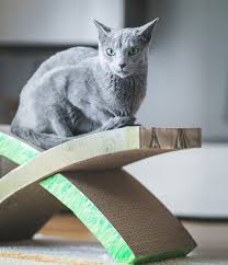 Check spelling or type a new query. Petstages Cat Scratcher Cat Hammock Cat Scratching Post Beds Furniture Pet Supplies Swl13562 Nl