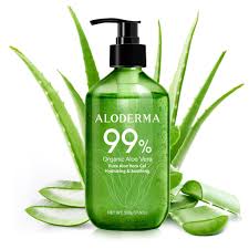 Image result for Aloe