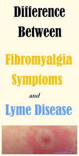 Hugedomains Com Shop For Over 300 000 Premium Domains Fibromyalgia Symptoms Lyme Disease Fibromyalgia