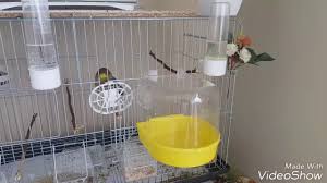 Eglenceli Kanarya Banyo In 2020 Kitchen Appliances Kitchen Popcorn Maker