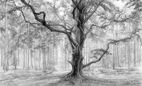 Beautiful Black And White Nature Drawing 25 Beautiful Tree Drawing Examples From Around The World Pencil Drawings Of Nature Landscape Drawings Nature Drawing