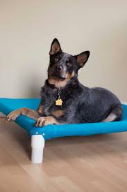 Are you looking to take on some creative projects that are just for your furry friends? Diy Elevated Dog Bed Hgtv