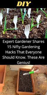 Expert Gardener Shares 15 Nifty Gardening Hacks That Everyone Should Know These Are Genius Diy Life Hacks Diy Garden Projects Gardening Tips