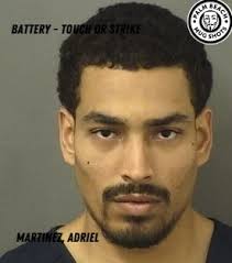 Palm Beach Mug Shots