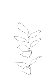 Plant One Line Drawing Illustration Kay Art Print By The Colour Study X Small Line Art Drawings Minimal Drawings Line Art