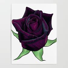 See full list on florgeous.com Black Baccara Rose Dark Purple Flower Poster By Azza1070 Society6