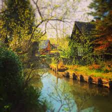 Spreewald Pur Spreewaldgehofte Im Ortsteil Kaupen Zwischen Lubbenau Und Lehde Reiseziele Ausflug Spreewald