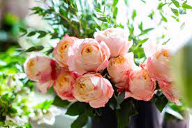 New hampshire state facts including state capital, symbols, state flag, maps, constitutions, representatives, songs, birds, flowers, state trees and much more. Flower Outlet Home Facebook