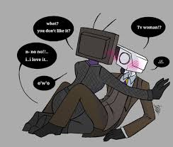 Tv woman x cameraman