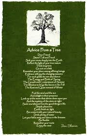 Advice From A Tree I Have This Framed Nature Quotes Tree Quotes Nature Quotes Trees