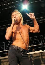 As the replacement bodyguard for the venture family. Iggy Pop Wikipedia