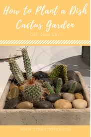 Different size and shape varieties. Planting A Dish Cactus Garden Our Good Life