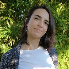 The Last Firefox eBook : Newbery, Lee, Catalán, Laura: Amazon.com.au:  Kindle Store