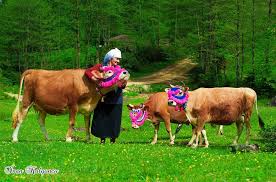 Karadeniz Fotograf Inan Kalyoncu Duk Doga Yuruyusu Ayi