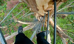 Maybe you would like to learn more about one of these? Ultimate Guide To Pemberton Rac Wa