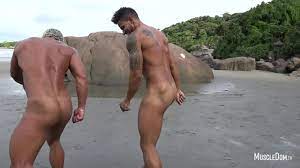 Muscular gays play naked game - XNXX.COM