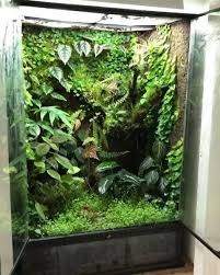 Terrarium Imaginarium On Instagram Beautiful Vivarium By My Privatejungle From France In 2020 Vivarium Frog Terrarium Tree Frog Terrarium