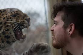 Arlington Photography