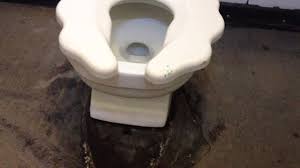4966 American Standard Baby Devoro Toilet 6 Youtube