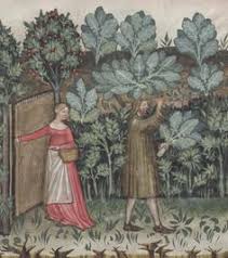 Image result for cabbage plants public domain