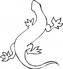 Rhinoceros facts lion facts elephant facts giraffe facts flamingo facts chimpanzee facts penguin facts panda facts python facts great white shark facts tiger facts skunk facts seal facts sea turtle facts porcupine facts panther facts ostrich facts komodo dragon facts hippopotamus facts tarantula facts piranhas facts orangutan facts octopus. Crested Gecko Coloring Pages Coloring Home