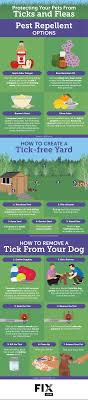 Flea bites are harmful to both pets and humans. Keep Ticks And Fleas Away From Your Pet Fix Com