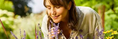 Geurplanten voor tuin en balkon