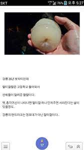 사탕 자위