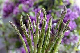 Plant 10 crowns per family member. 8 Asparagus Growing Mistakes To Avoid This Season Gardening Channel