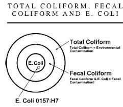 The growth direct system automates water testing results to ensure data integrity. Water Research Center Well Water Testing Total Fecal Coliform Bacteria Testing Coliform Bacterial Test Kits Microorganisms Drinking Water