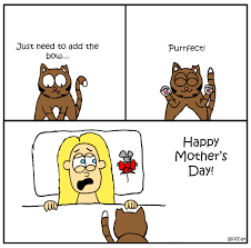 Happy Mother S Day From The Cat