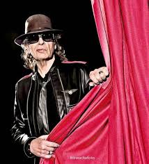 Pin Auf Udo Lindenberg