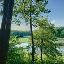 Mason neck national wildlife refuge was the first refuge established specifically for the protection of our nation's symbol, the bald eagle. Photos At Mason Neck State Park 13 Tips From 575 Visitors