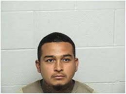 Three men charged after, police say, nearly hitting Wauconda-area man while  shooting guns