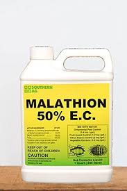 What is malathion, and how does it work (mechanism of action)? Southern Ag Malathion 50 E C 8oz Buy Online In Faroe Islands At Faroe Desertcart Com Productid 9974141