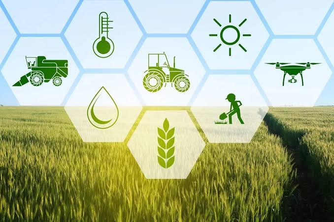 Food and Agriculture Sector of Pakistan - Defence Journal