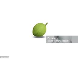 Image result for Coula edulis