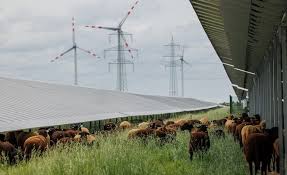 Püspök builds hybrid plant in Austria