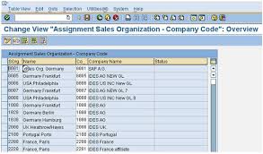 How To Map The Elements Of The Sap Sd Organizational