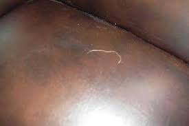 Use them in commercial designs under lifetime, perpetual & worldwide rights. Pubic Hair Found On Chair In Bedroom 5 Star Picture Of Hotel Le Crystal Montreal Tripadvisor