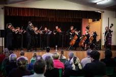 Camerata in Concert - Live in Bollon