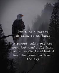 Dont Be A Parrot In Life Be An Eagle Vibe Quote Inspiring Quotes About Life Positive Vibes Quotes