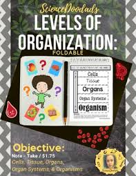 Check spelling or type a new query. Levels Of Organization In Plants And Animals Foldable By Science Doodads