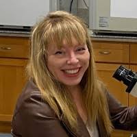 Automated Engineering Services, Inc. Email Format