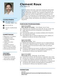 Votre enseignement associant droit immobilier et techniques commerciales me sera indispensable pour. Cv D Agent Immobilier Exemples Modeles Moncvparfait